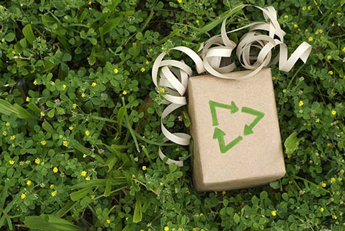 Sustainability Gifts