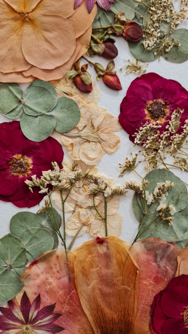 Fresh Flower Preservation - Commission Order - Image 2