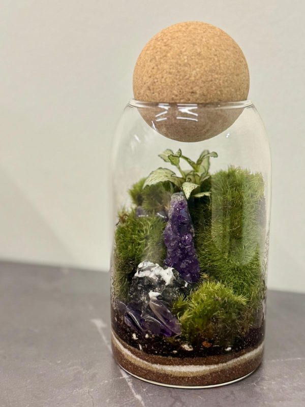 Moss Terrarium - Image 3