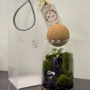 Moss Terrarium