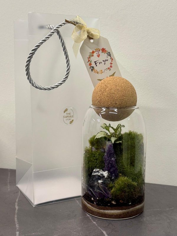 Moss Terrarium